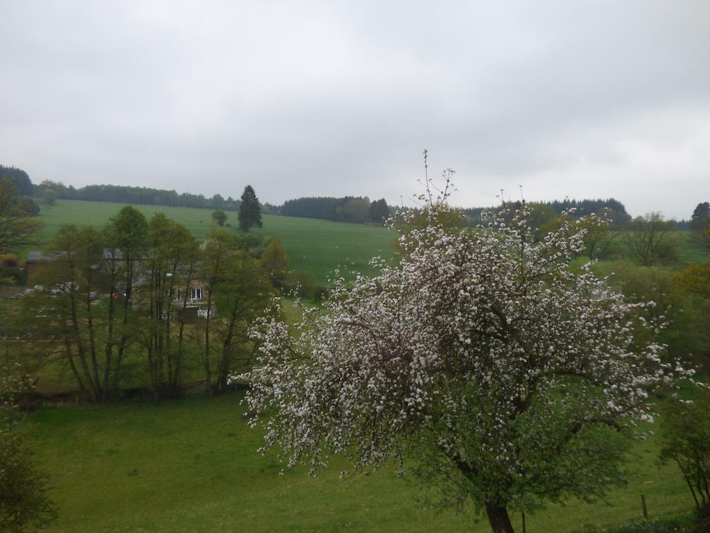 Gite De L'Epilobe Vielsalm Rum bild